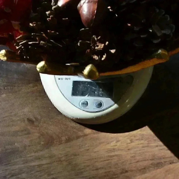 Fall Decorations Pumpkins Maple Leaves Pinecone - Picture 4 of 5